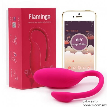 Sexshop gay | Precio de Vibrador Vaginal Magic Flamingo App | Placer a tu Ritmo | Envío CDMX, Jalisco, Nuevo León y toda CDMX