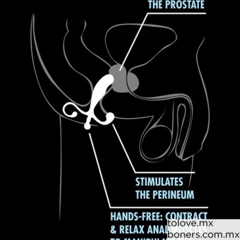 Sex Shop | Venta de Estimulador de Próstata | Juguetes sexuales para hombre | Envío Baja California, Sonora y norte del país